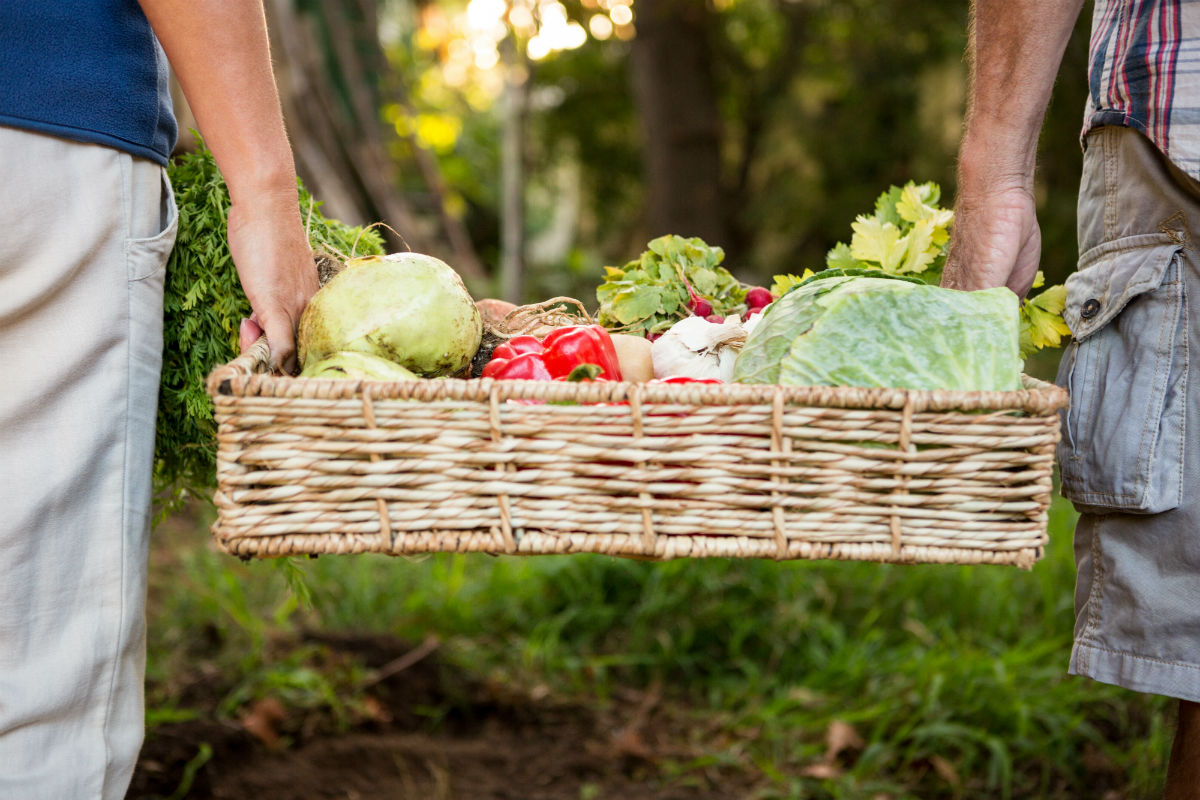 benefits of a community garden