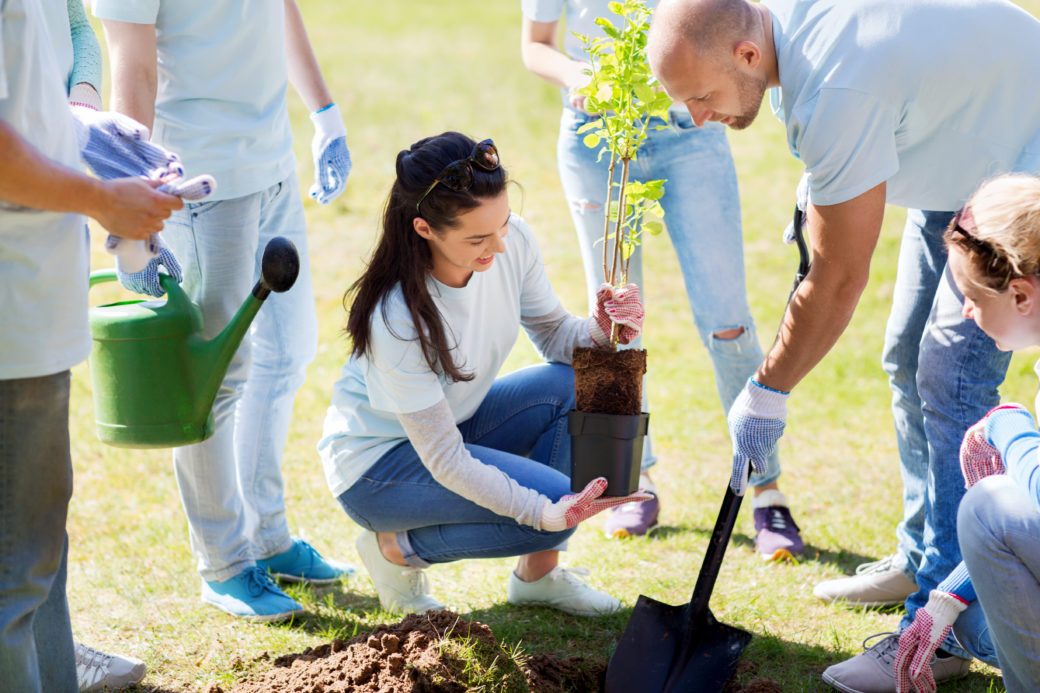 tree planting fundraising for non profit