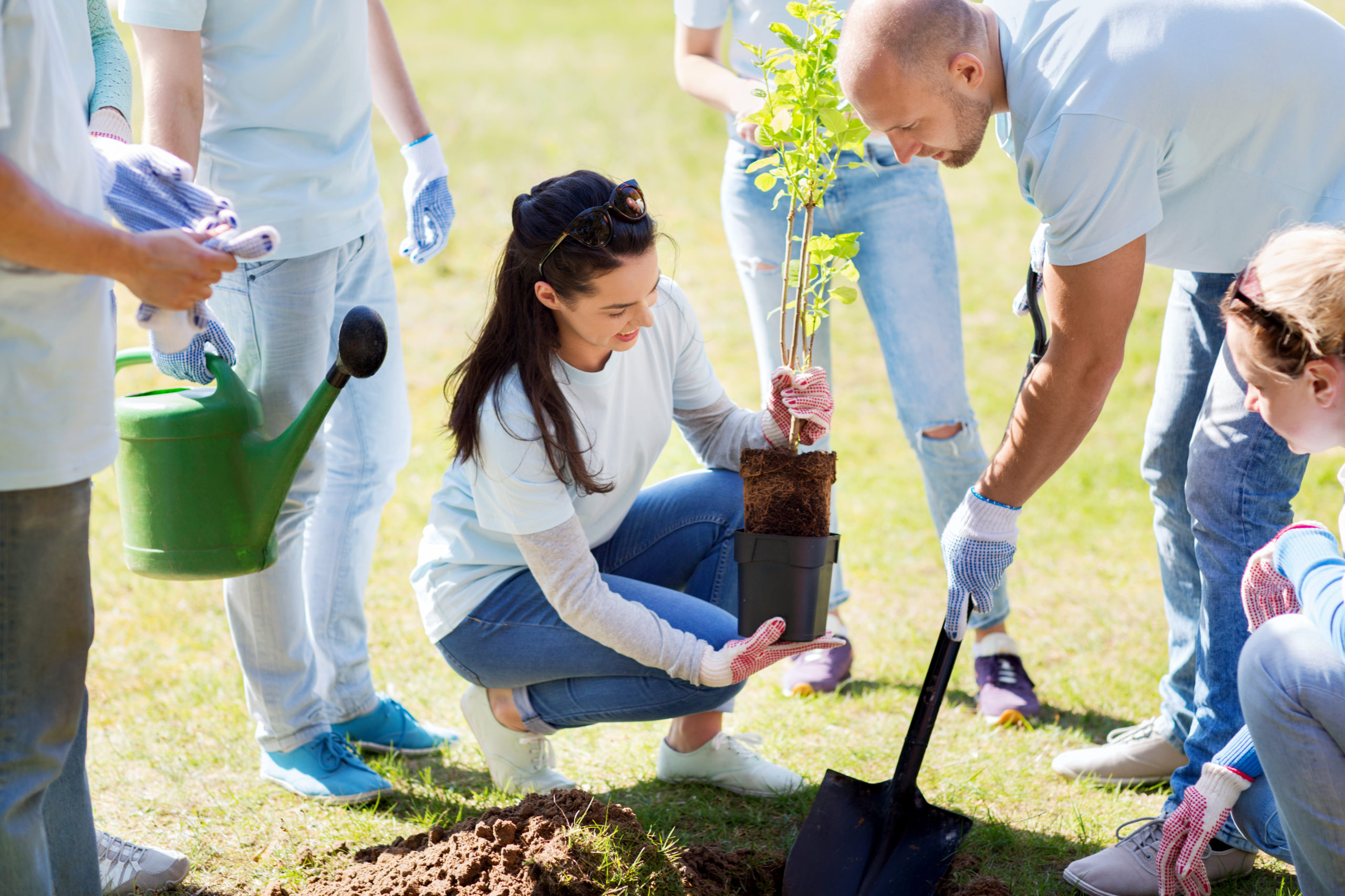 tree planting fundraising for non profit